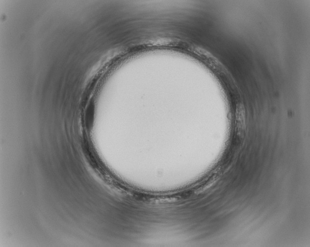 X0000069400734200606091741