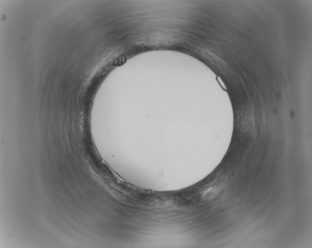 X0000069400735200606091741