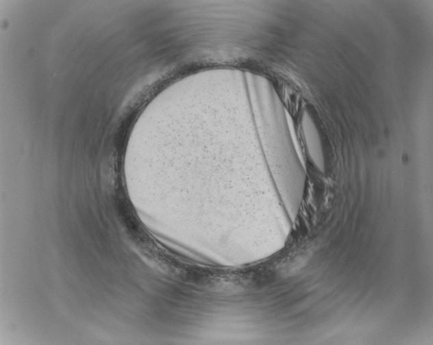 X0000069400736200606091741