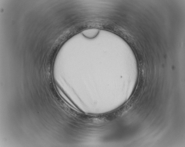 X0000069400737200606091741