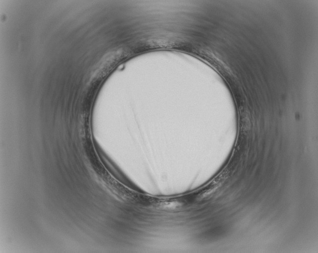 X0000069400738200606091741