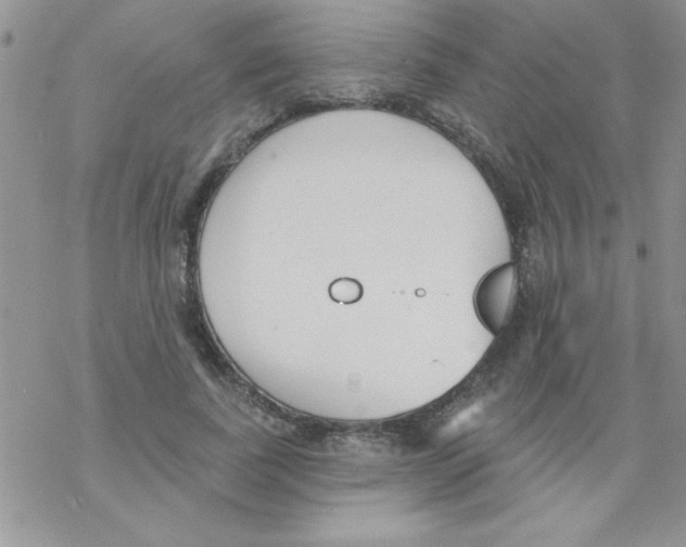 X0000069400739200606091741