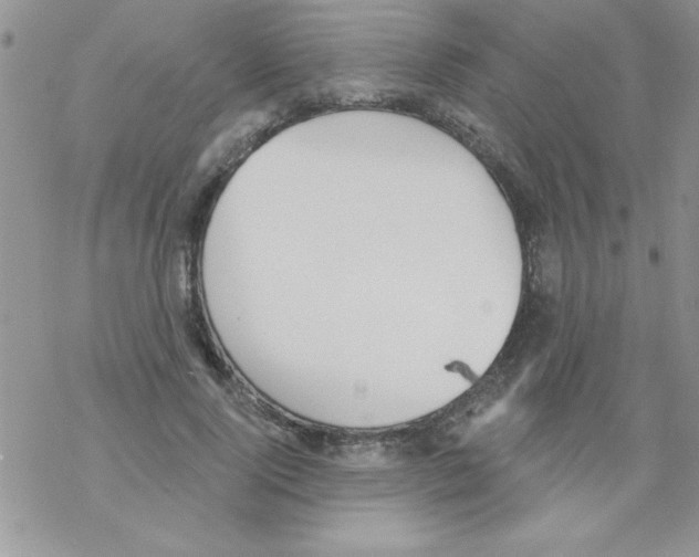 X0000069400740200606091741