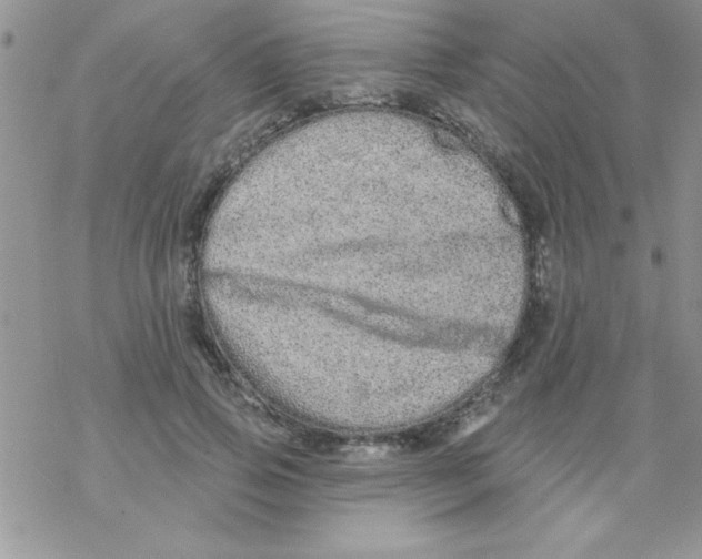 X0000069400741200606091741