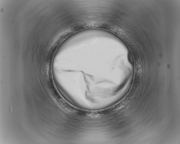 X0000069400742200606091741