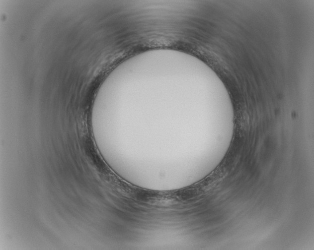 X0000069400743200606091741