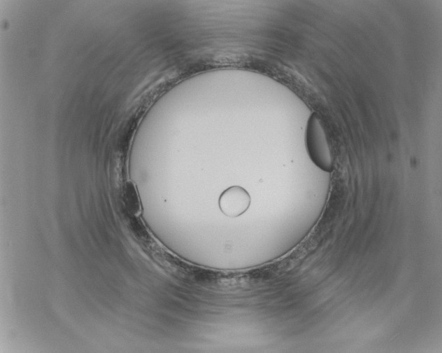 X0000069400744200606091741