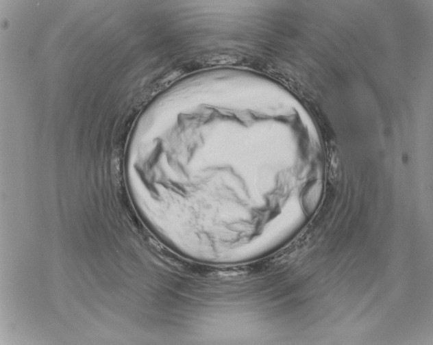 X0000069400745200606091741