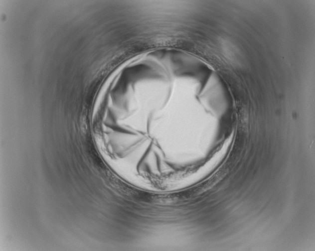 X0000069400746200606091741