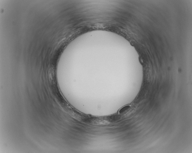 X0000069400747200606091741