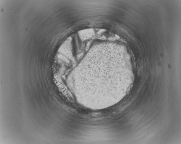 X0000069400748200606091741