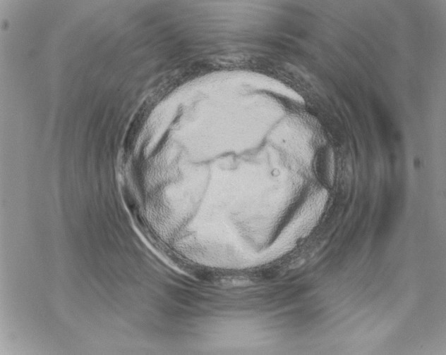 X0000069400749200606091741