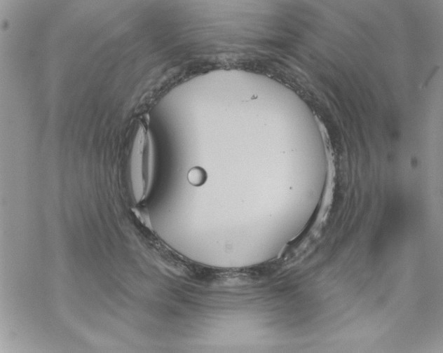 X0000069400750200606091741