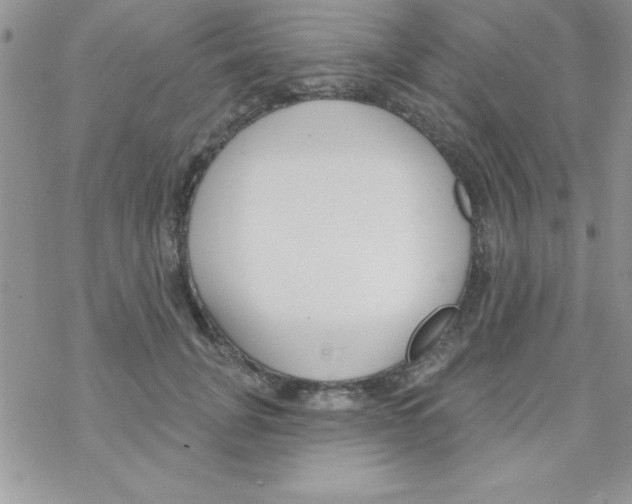 X0000069400751200606091741