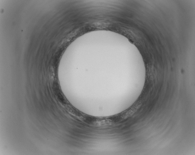 X0000069400752200606091741