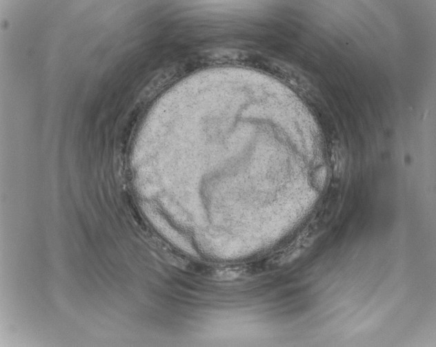 X0000069400753200606091741