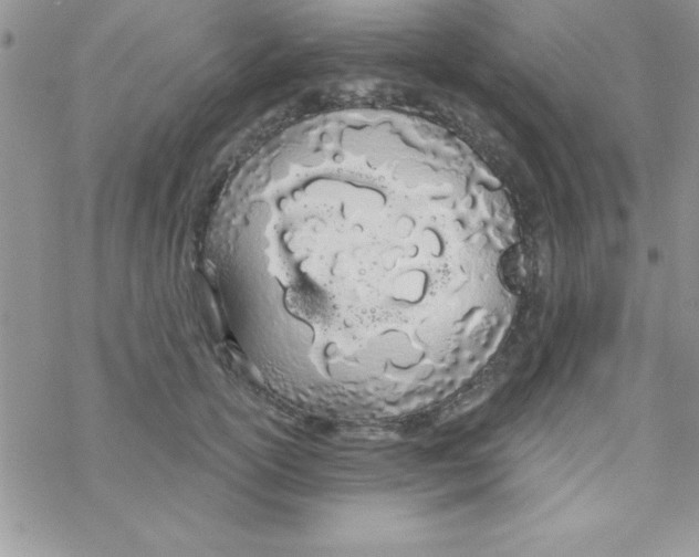 X0000069400754200606091741