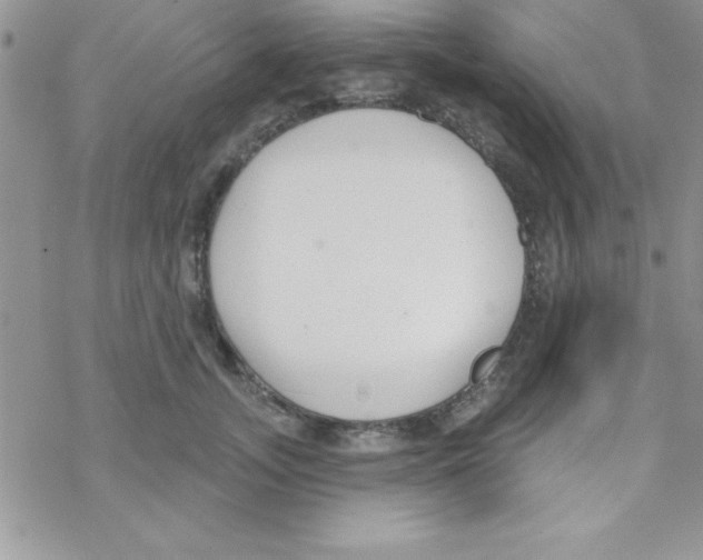 X0000069400755200606091741