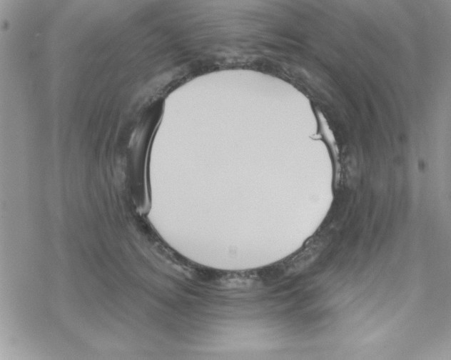 X0000069400756200606091741