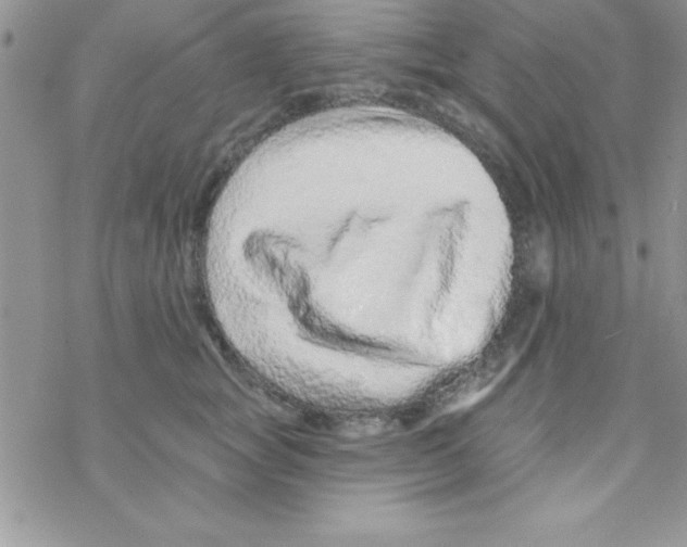 X0000069400757200606091741