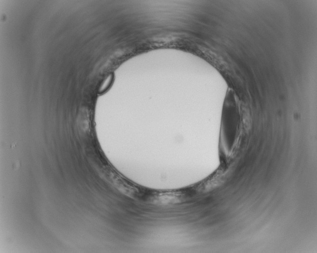 X0000069400758200606091741