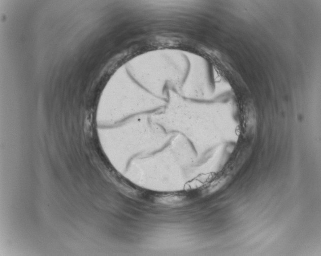 X0000069400759200606091741