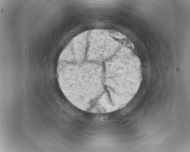 X0000069400760200606091741