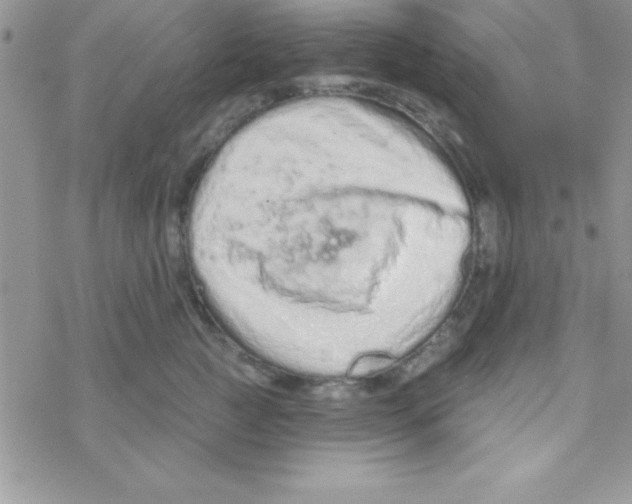 X0000069400761200606091741