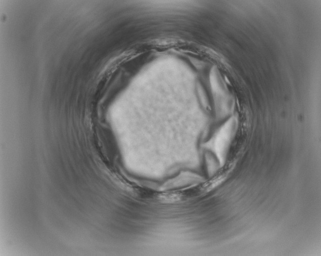 X0000069400762200606091741