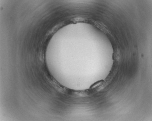 X0000069400763200606091741