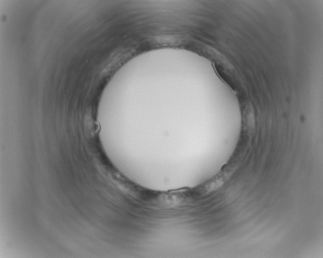 X0000069400764200606091741