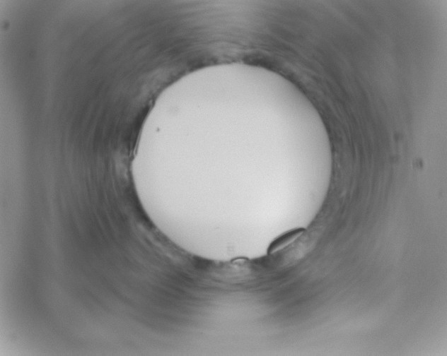 X0000069400768200606091741