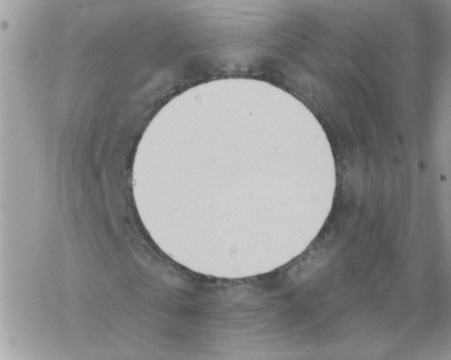 X0000069400769200606091741