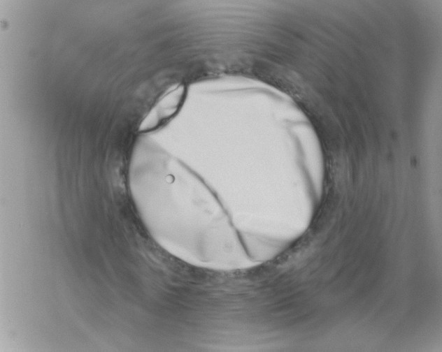 X0000069400770200606091741