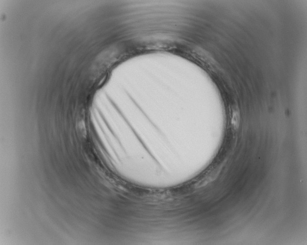 X0000069400771200606091741