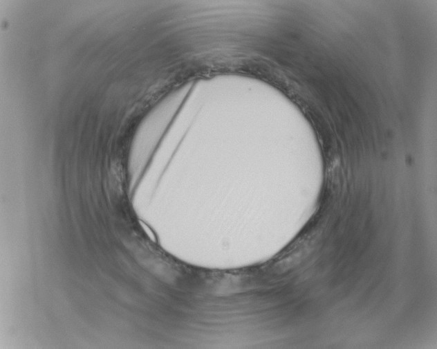 X0000069400772200606091741