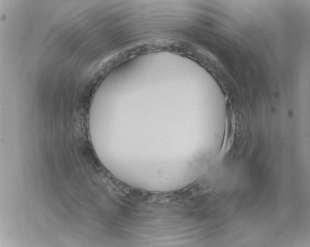 X0000069400773200606091741