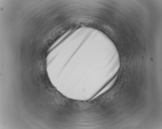 X0000069400774200606091740