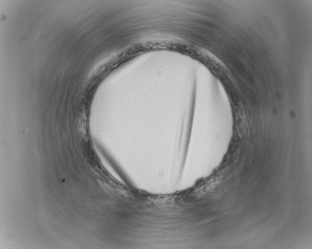 X0000069400775200606091740