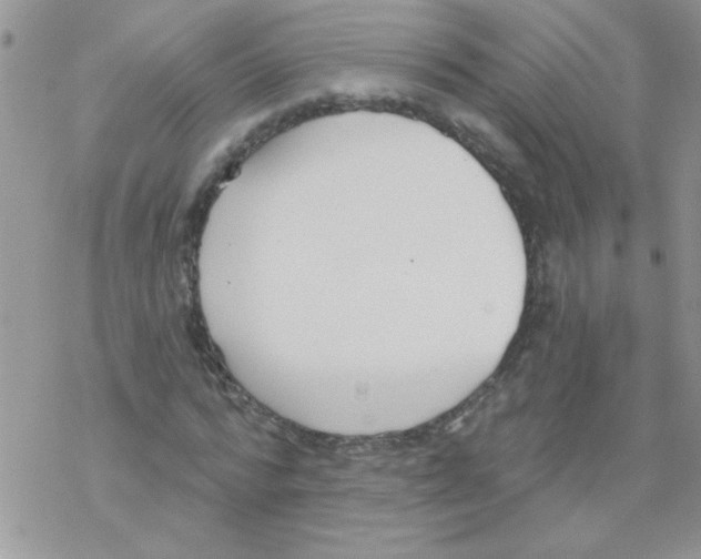 X0000069400776200606091740