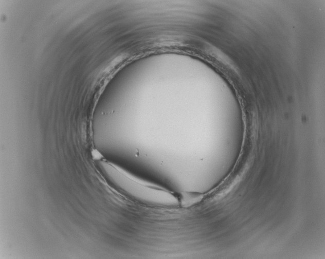 X0000069400777200606091740