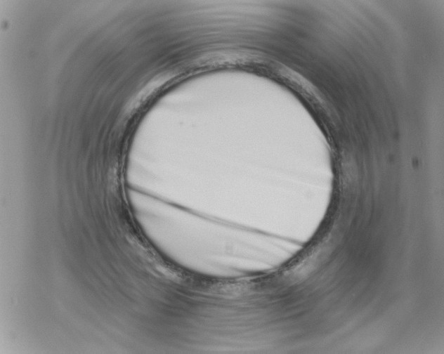 X0000069400778200606091740