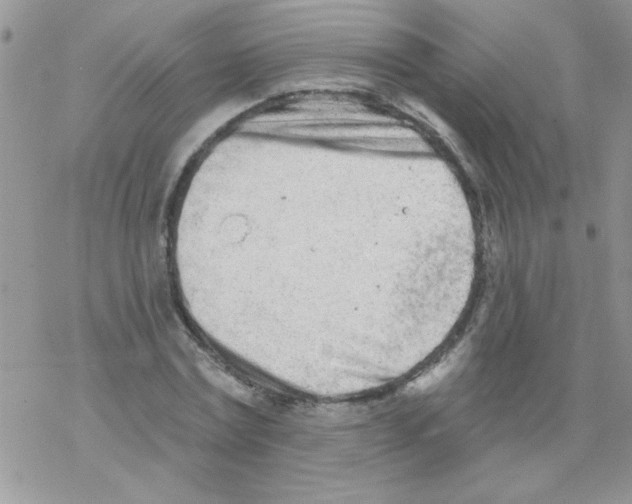 X0000069400779200606091740