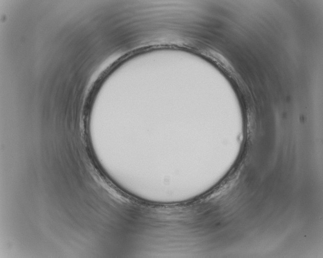 X0000069400780200606091740