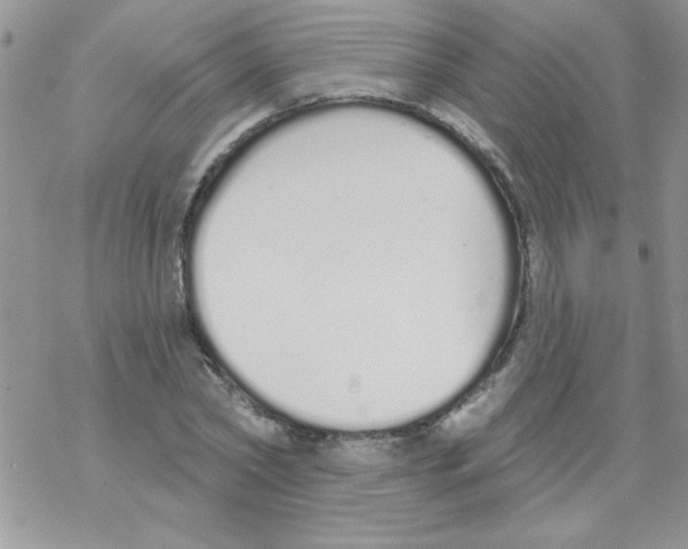 X0000069400782200606091740