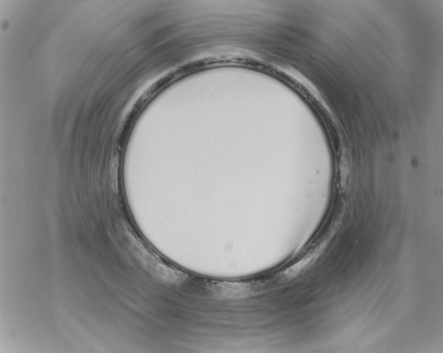 X0000069400783200606091740