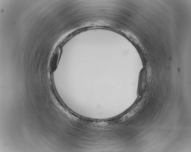 X0000069400784200606091740