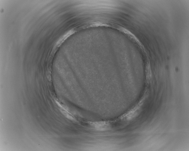 X0000069400785200606091740