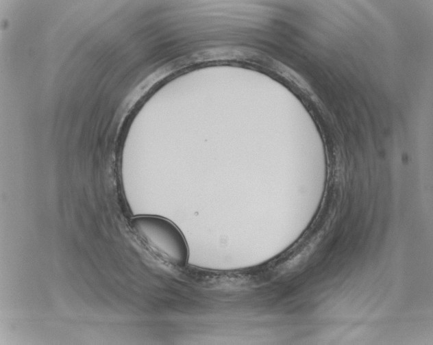 X0000069400786200606091740