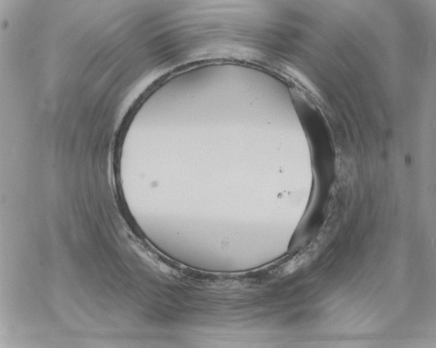 X0000069400788200606091740